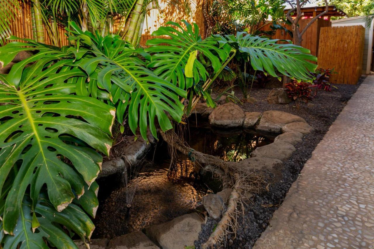 In Boutique With Mini Kitchen, Pool And Bbq Kihei