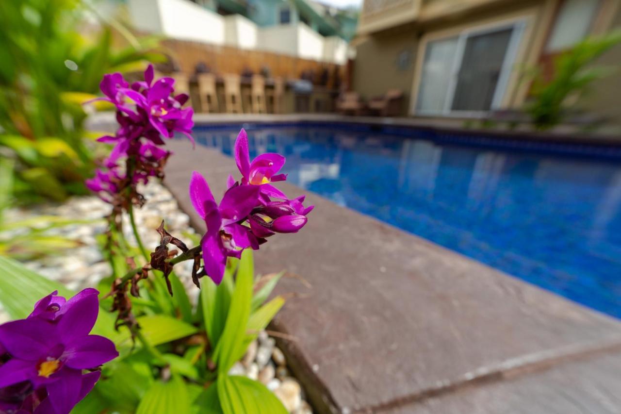 Appartement In Boutique With Mini Kitchen, Pool And Bbq *