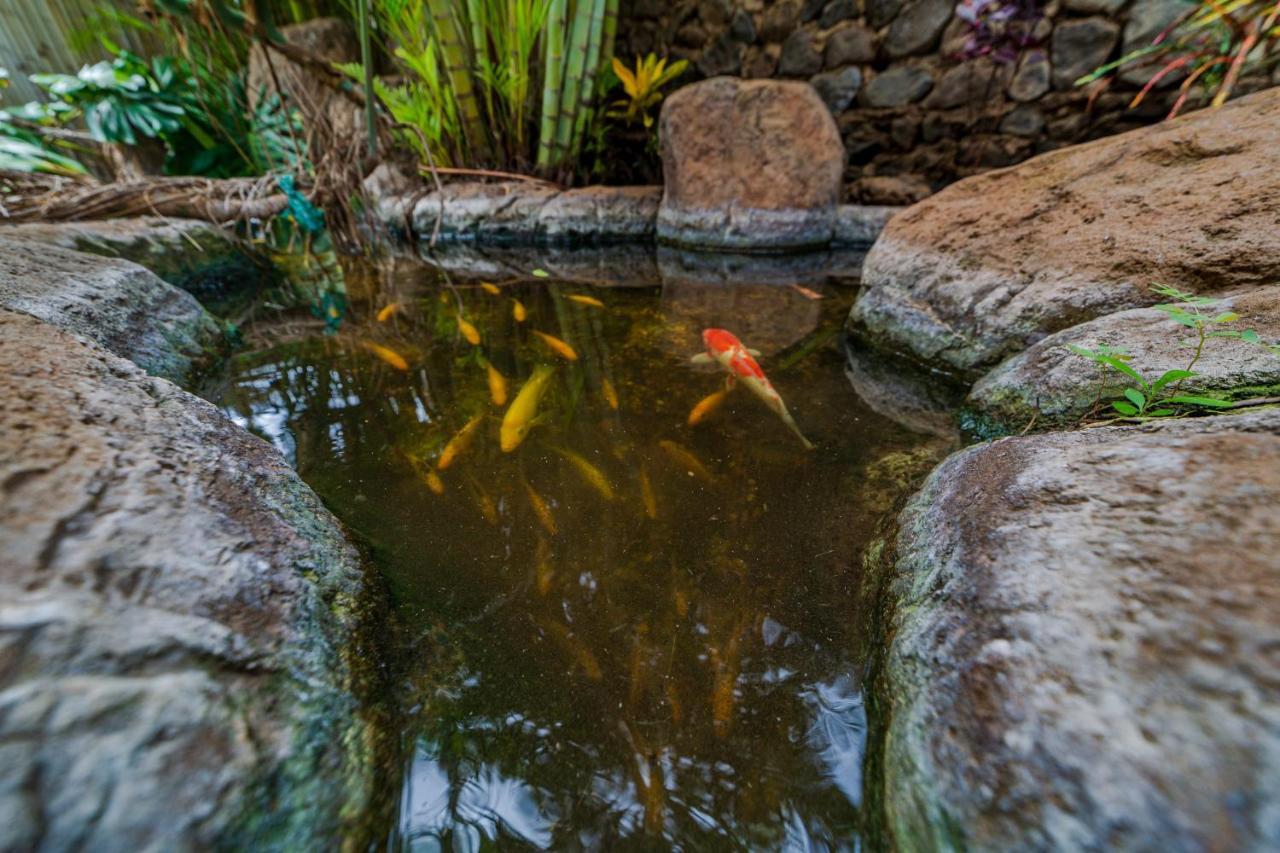 In Boutique With Mini Kitchen, Pool And Bbq Apartamento Kihei